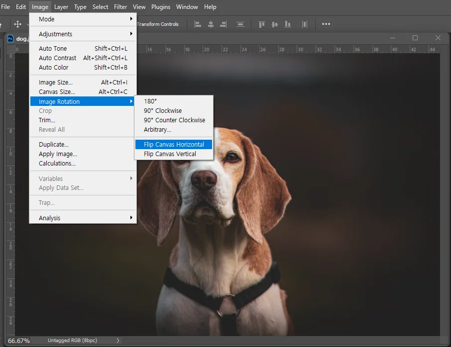 어도비 포토샵에서 이미지 회전 및 좌우반전