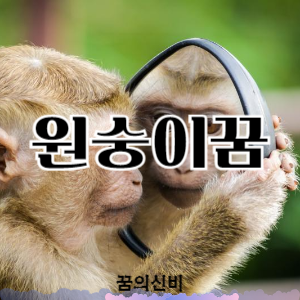 썸네일 사진