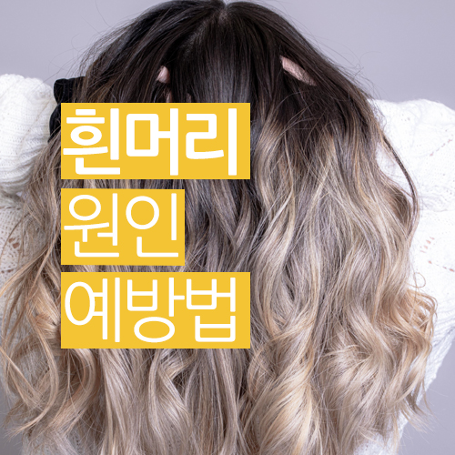  흰머리의 원인, 예방법을 알아 보자