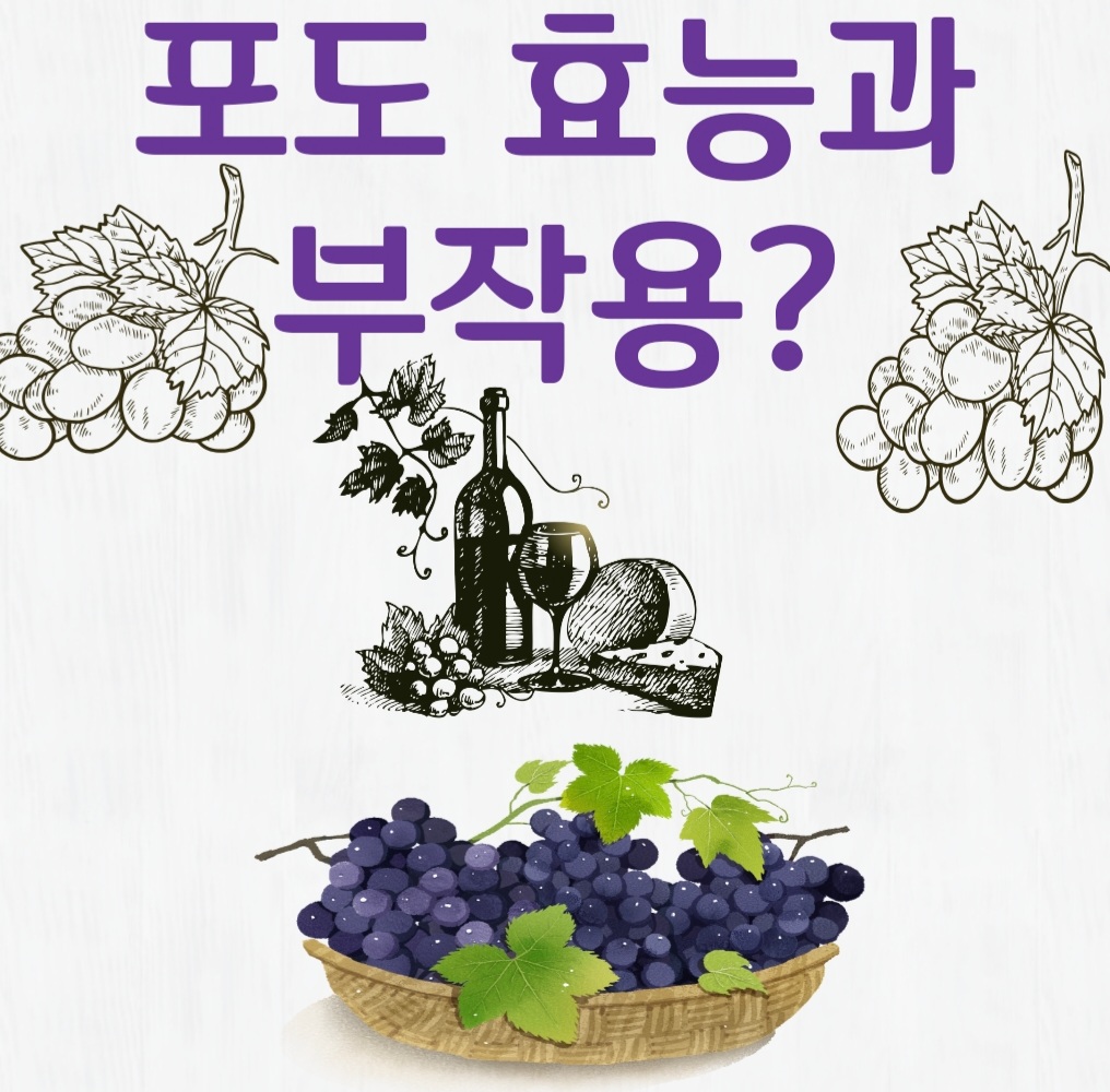  포도효능? 부작용?