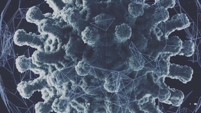  COVID-19 shots can boost long-term cellular immunity, as well as antibodies