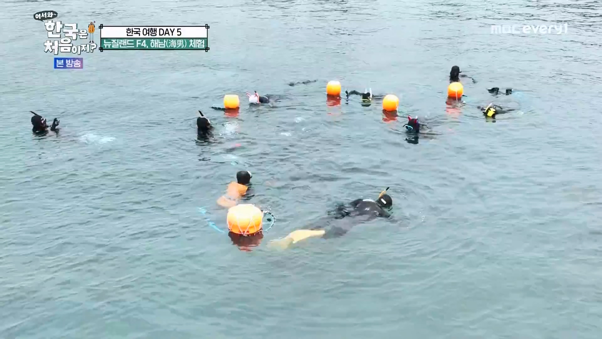 어서와 한국은 처음이지.E272.230720p.WANNA.mp4_20230722_180648.644.jpg