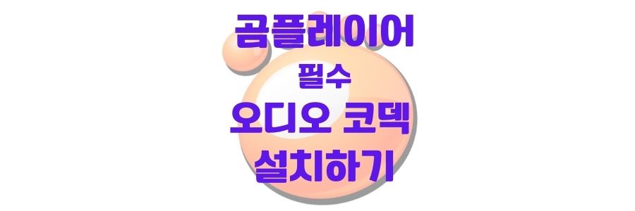  곰플레이어 필수 오디오 코덱 설치하기