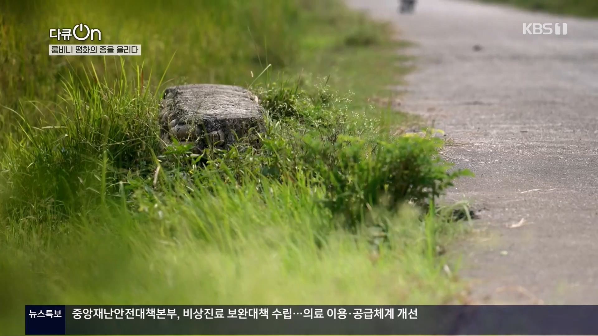 다큐 On.E241.240302p.H264-F1RST.mp4_20240306_194943.267.jpg