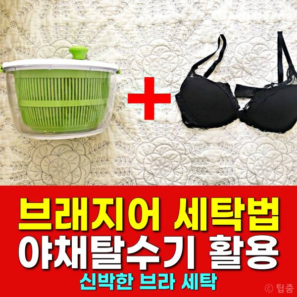 브래지어 세탁법 야채탈수기 활용