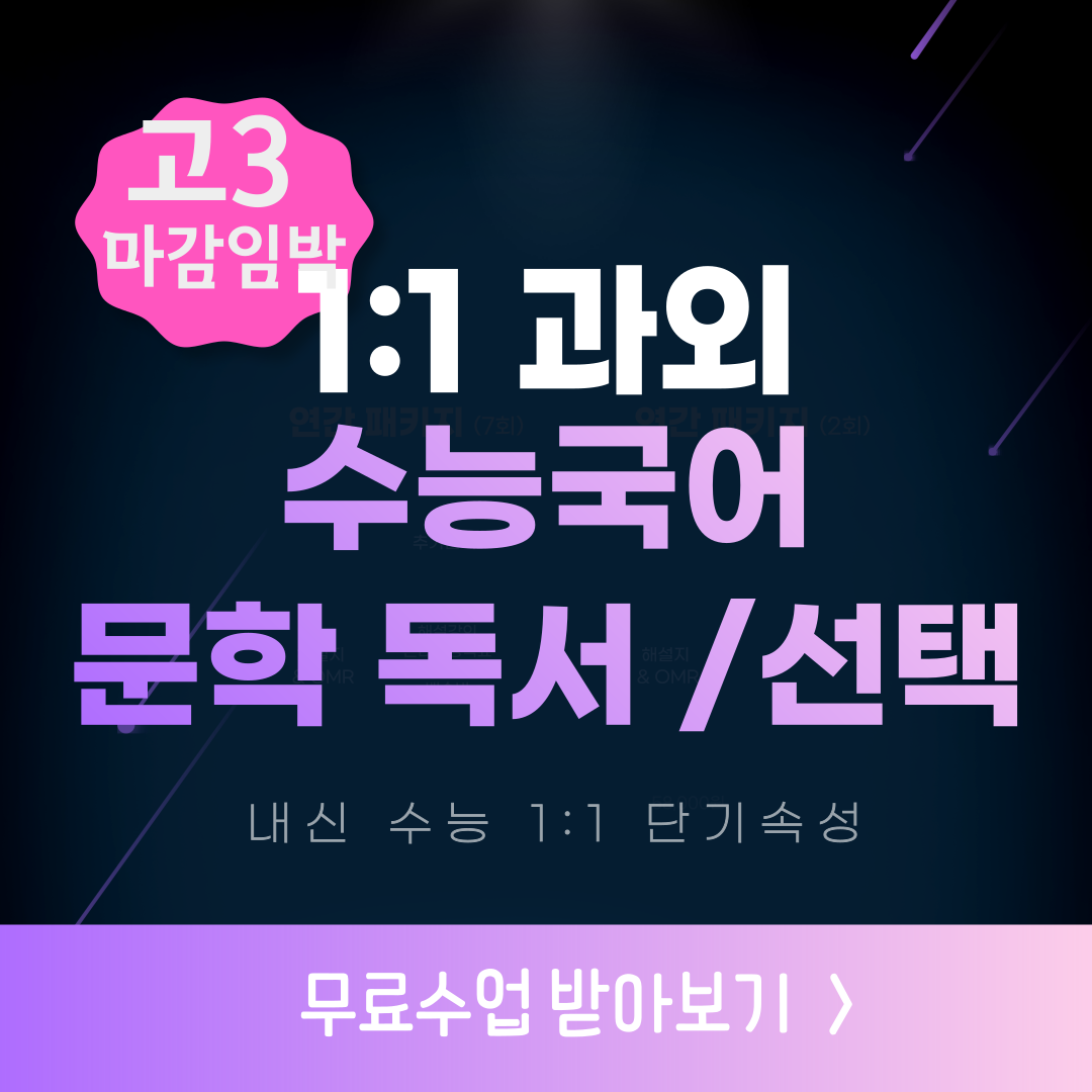  동판교 중등국어 과외 서판교 고등국어과외 수능국어 문학 독서 언매 화작 전문 과외쌤 특강