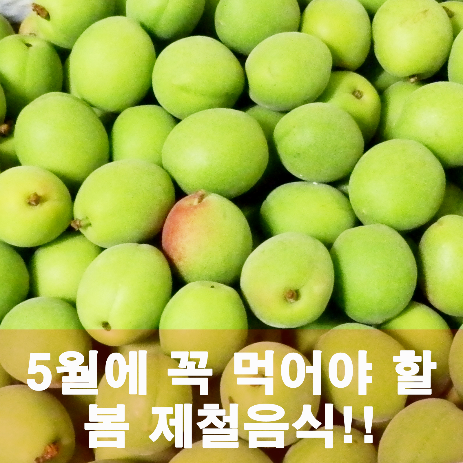  제철음식! 봄에 먹어야 하는 음식 4가지!!