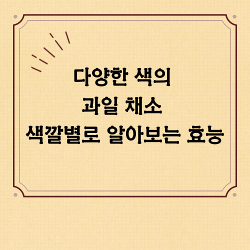 다양한색의과일채소색깔별로알아보는효능