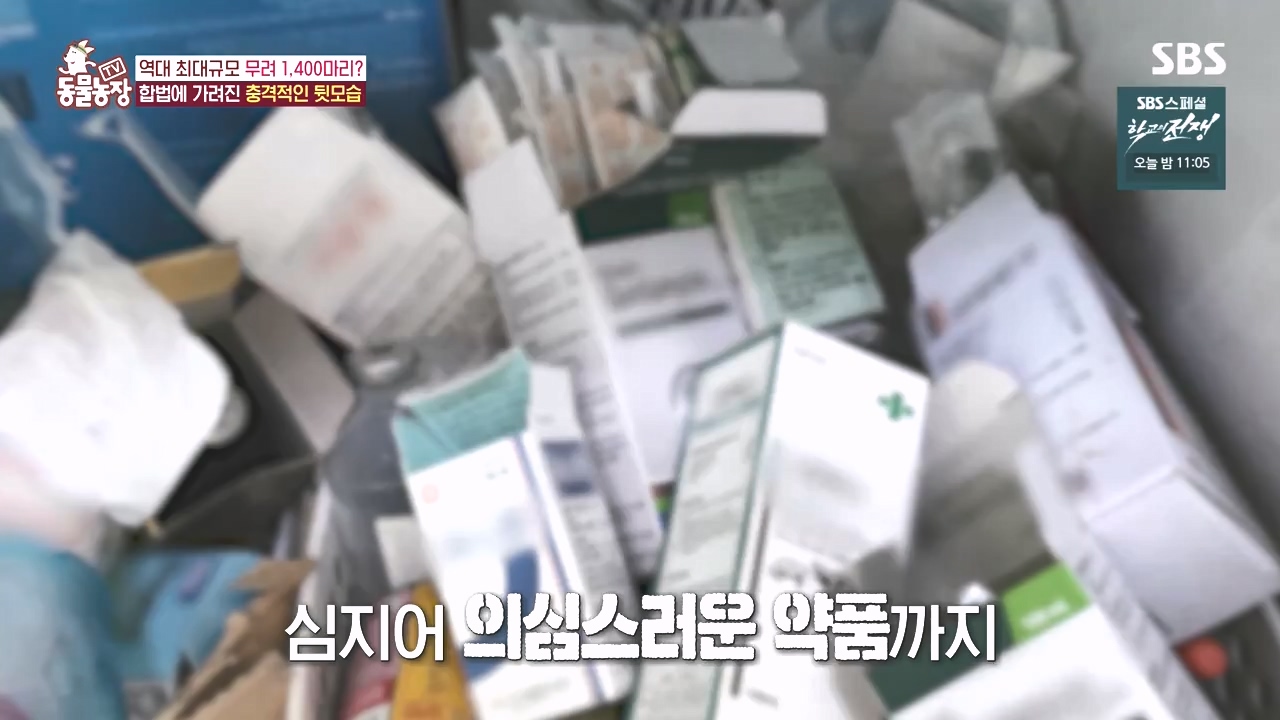 TV 동물농장.E1142.231023p-NEXT.mp4_20231022_172033.928.jpg