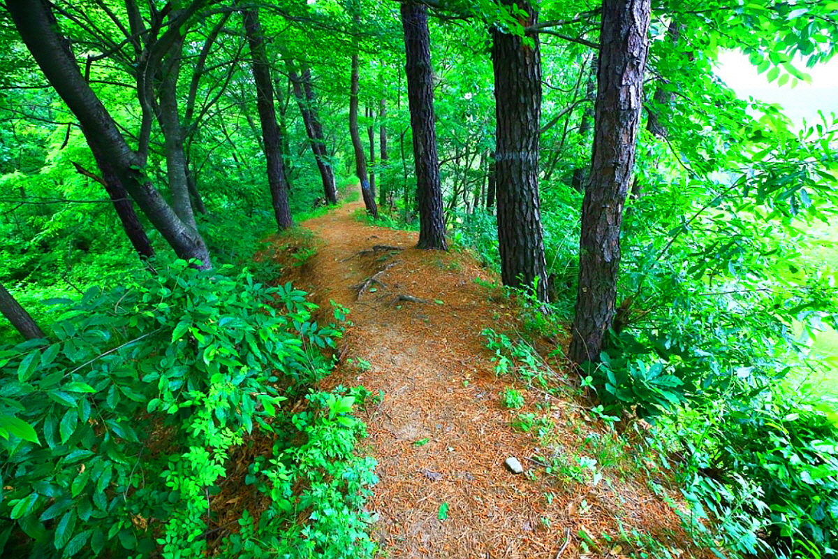 논산 황화(봉화)산성
