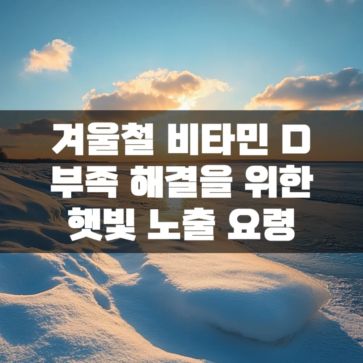 겨울철 비타민 D 부족 해결을 위한 햇빛 노출 요령