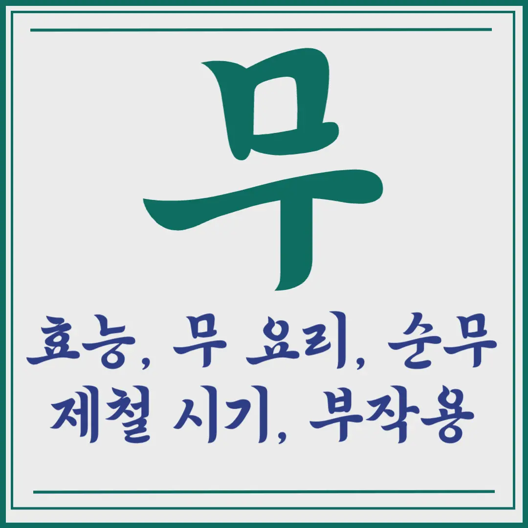 무의 효능&#44; 요리&#44; 부작용&#44; 순무와 차이점 알아보기