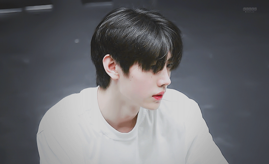  엔하이픈 박성훈 과거부터 아이랜드까지 짤모음