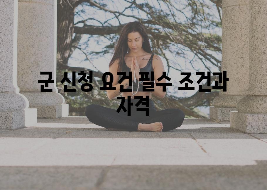 군 신청 요건 필수 조건과 자격