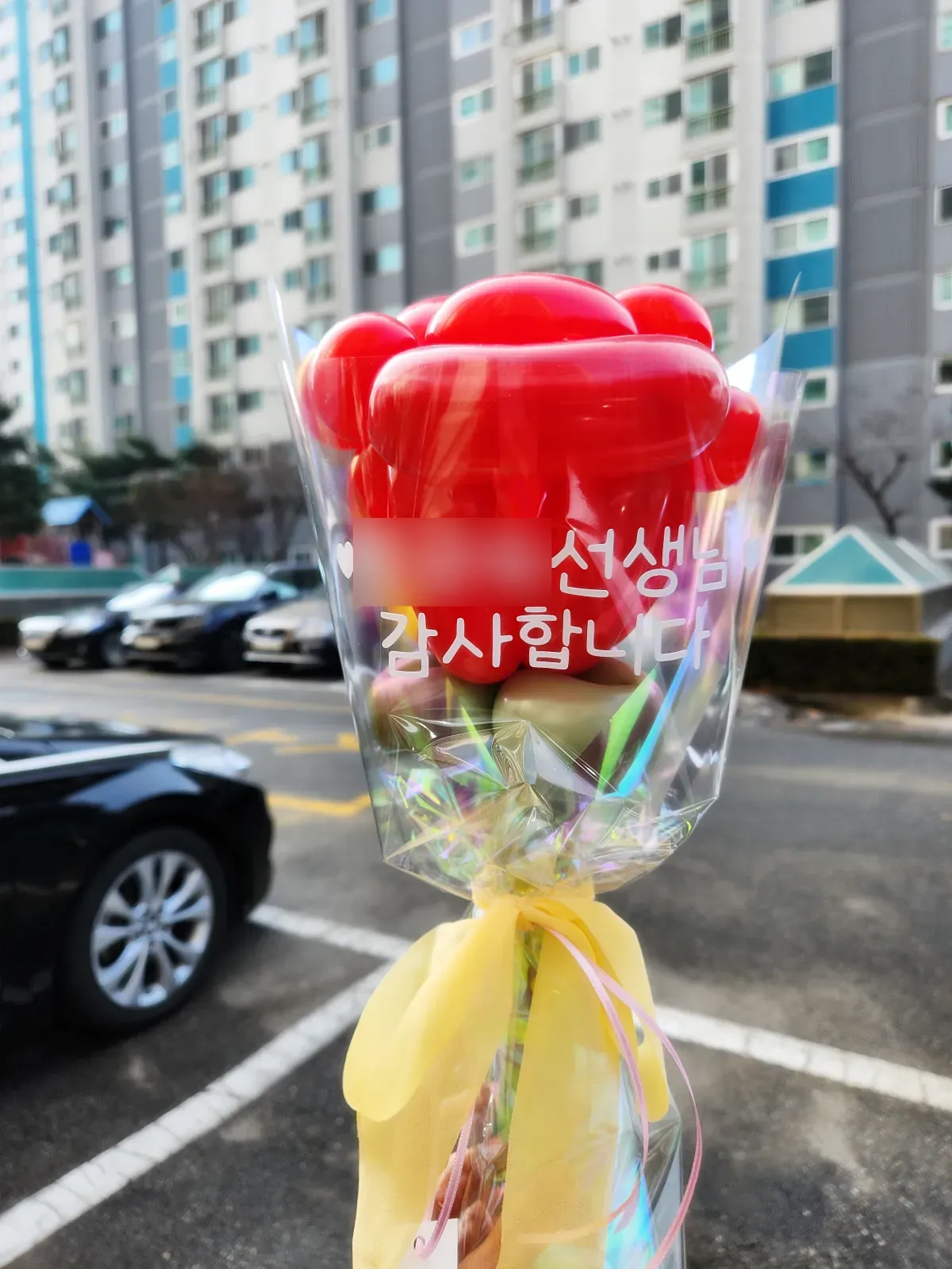 풍선꽃-꽃다발