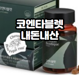 코엔타블렛-내돈내산