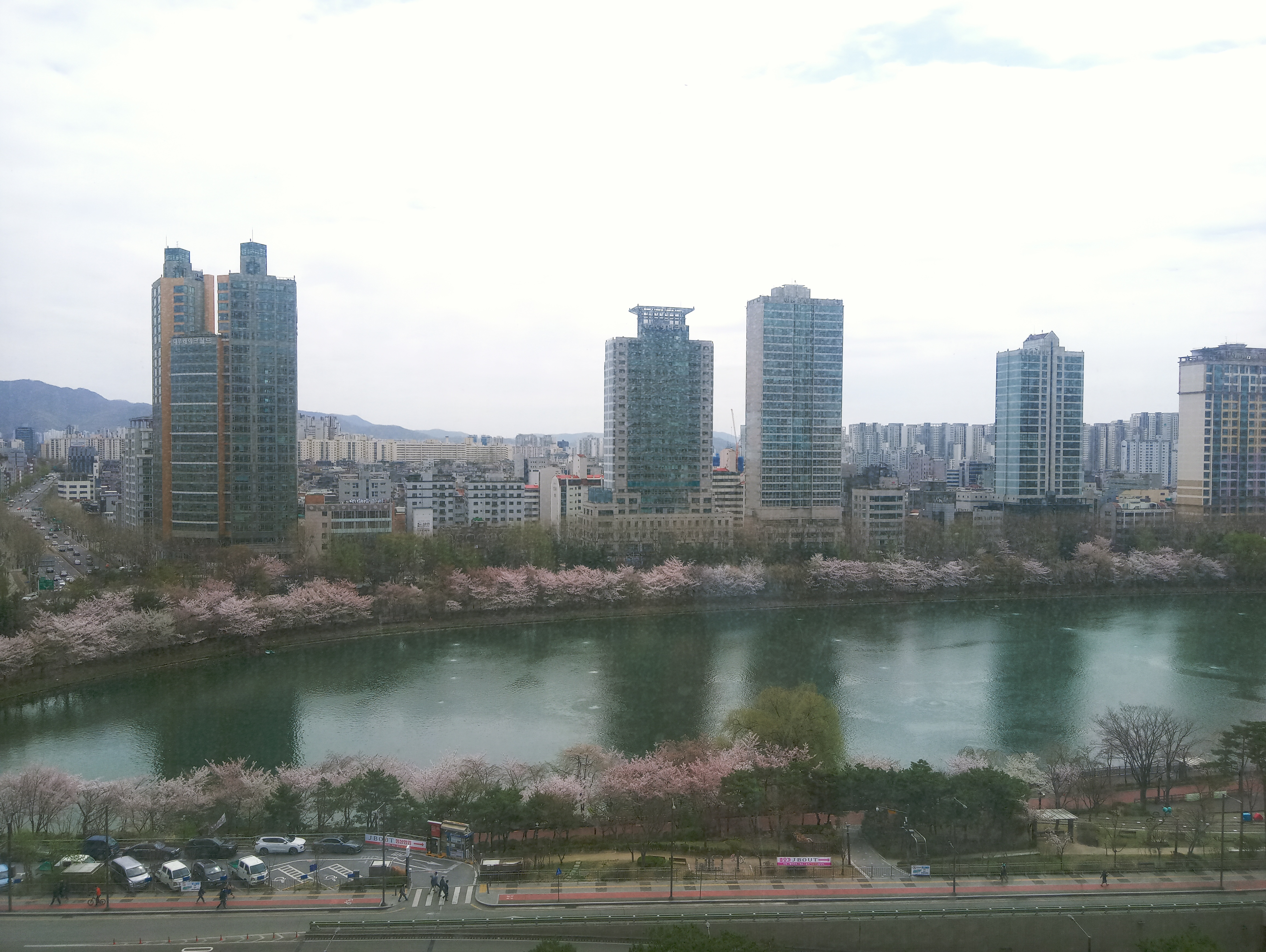 롯데시네마-월드타워점에서 바라다-본-벚꽃-핀-석천호수