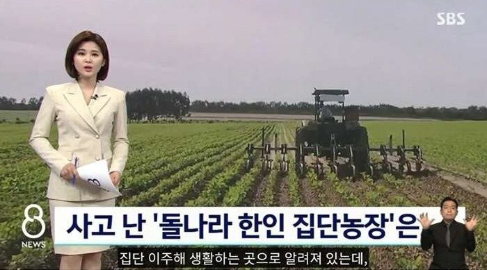  브라질에서 한국인 5명이 사망한 사건