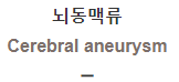 뇌동맥류 [Cerebral aneurysm]