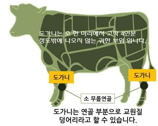  소연골 콘드로이친 1200 효능과 부작용 제대로 알기