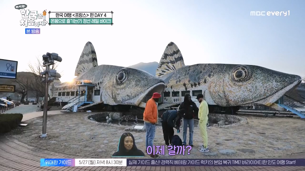 어서와 한국은 처음이지 시즌2.E315.240524p-NEXT.mp4_20240524_202806.370.jpg