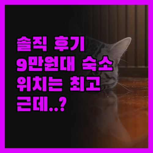 인터시티 호텔 프랑크푸르트 솔직 후기
