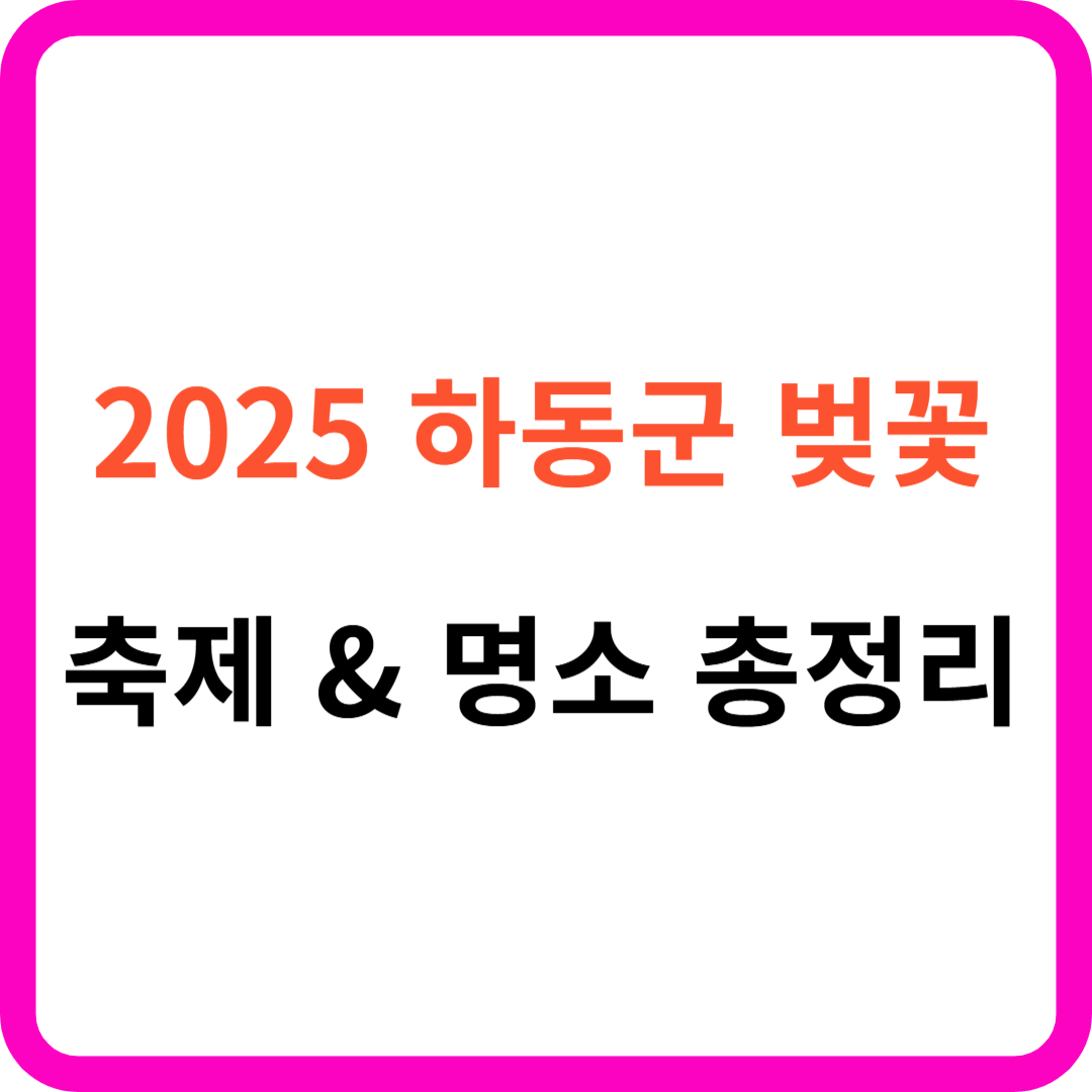 화개장터 하동군 벚꽃 축제 &amp; 명소 &amp; 드라이브 코스