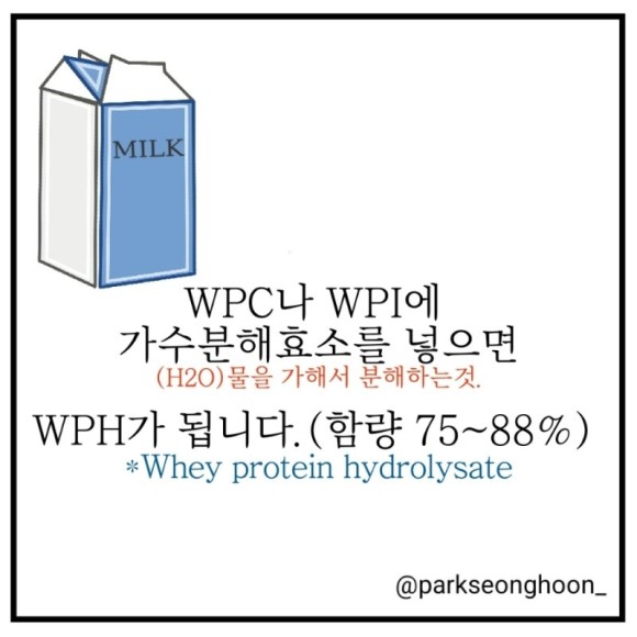 단백질 보충제 WPH에 대한 내용