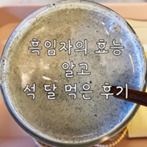  흑임자의 효능 알고 석 달 먹은 후기