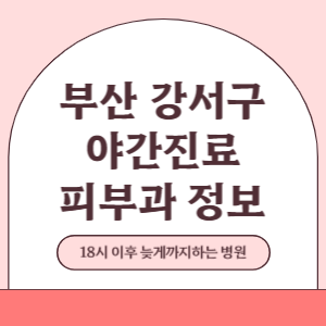 부산 강서구 야간진료 피부과 병원 (18시 이후 늦게까지하는 병원)