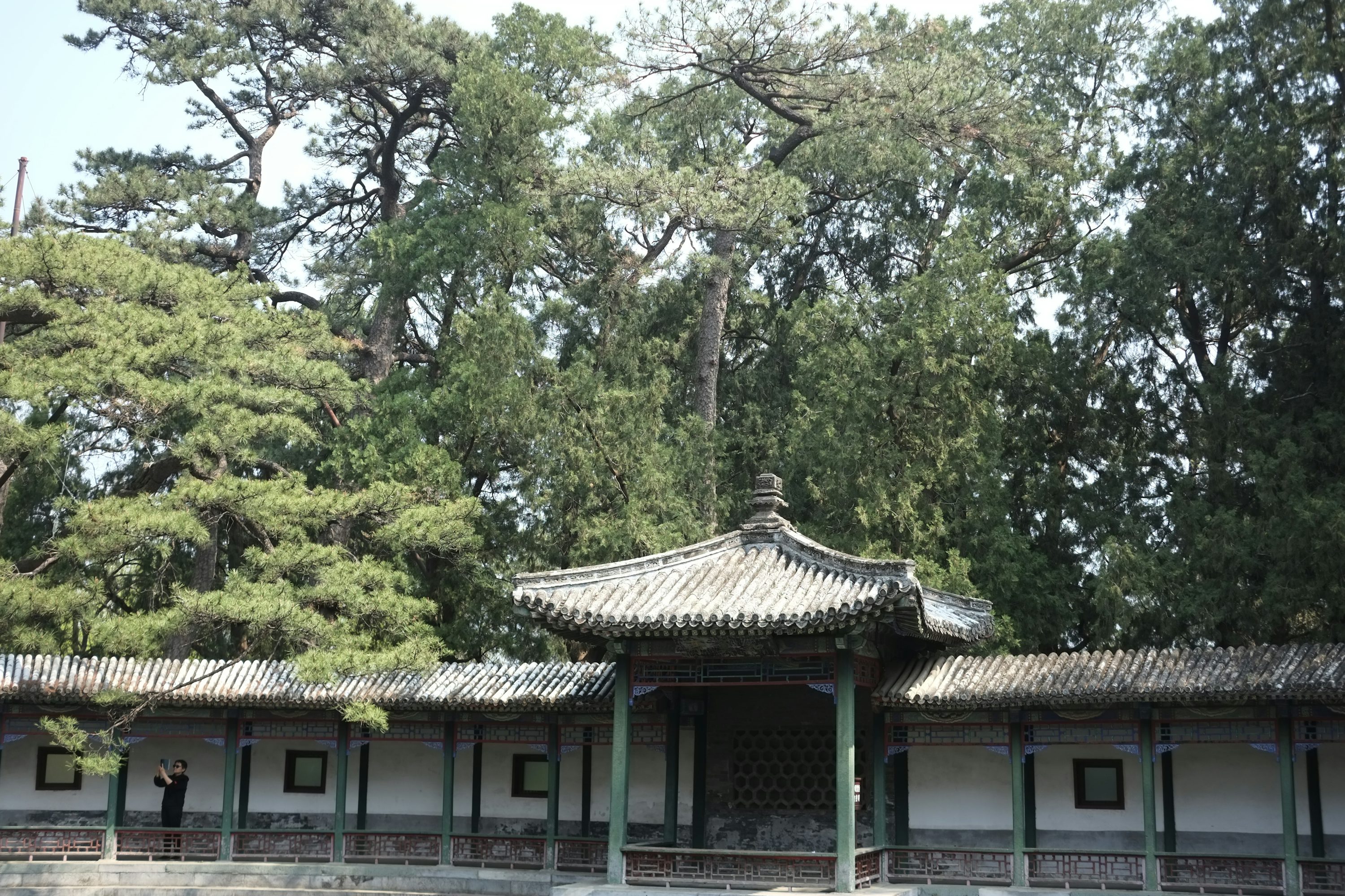 덕수궁 밤의 석조전 예매 하기