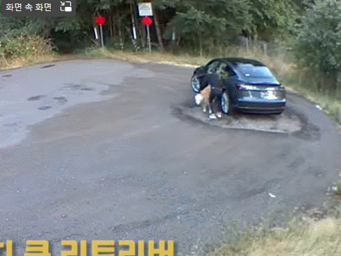 엄마와 산책 간다고 좋아서 따라나선 강아지는 깊은 숲속에 버려지고 말았습니다.