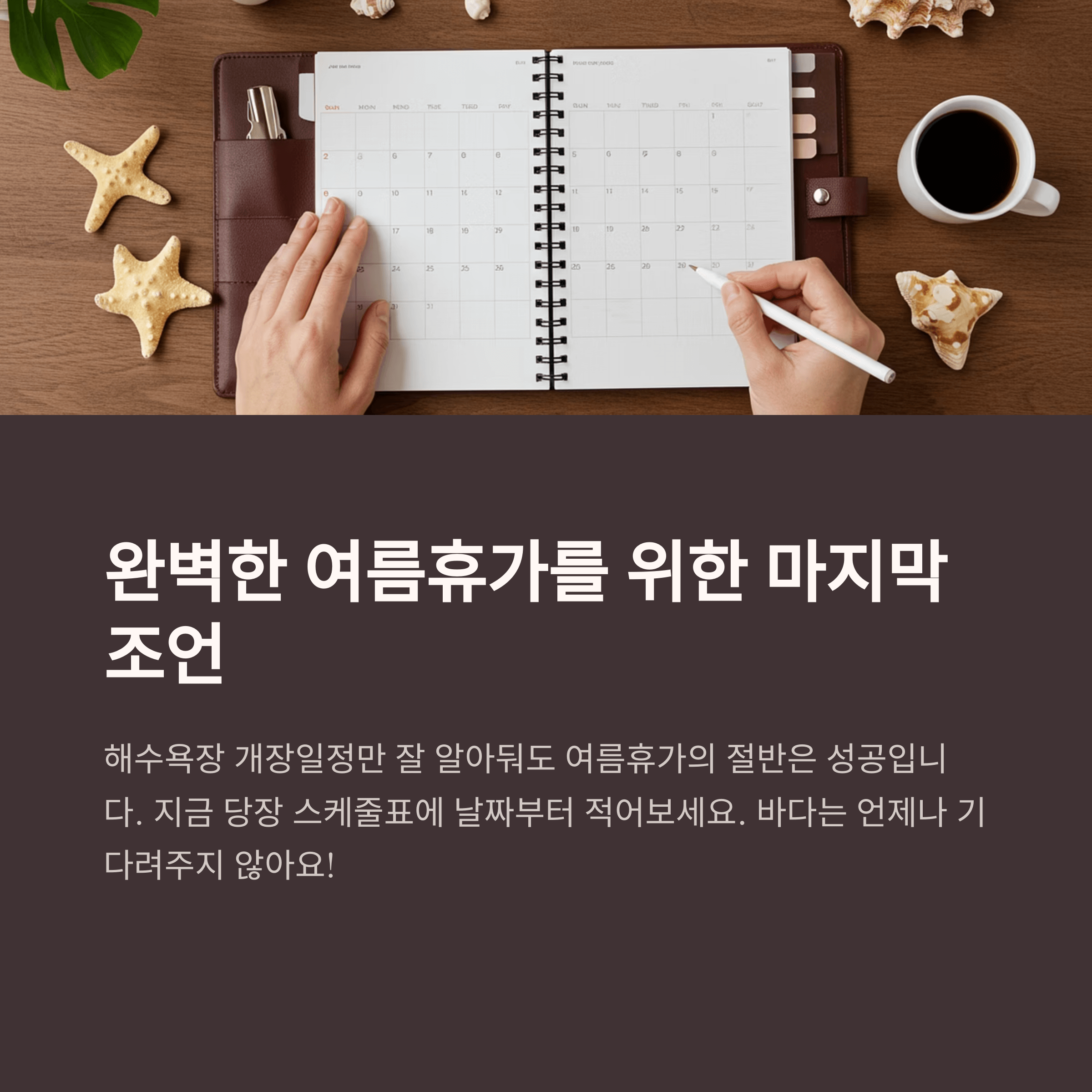 2025년 전국 해수욕장 개장일 폐장일 총정리