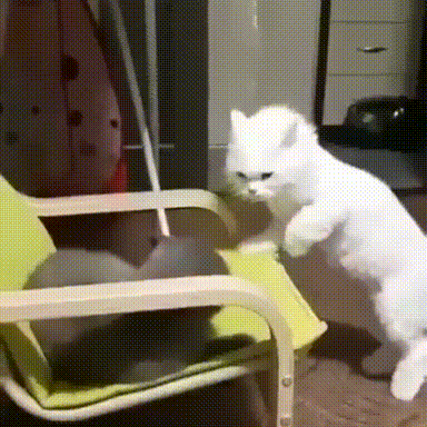 티격태격.gif