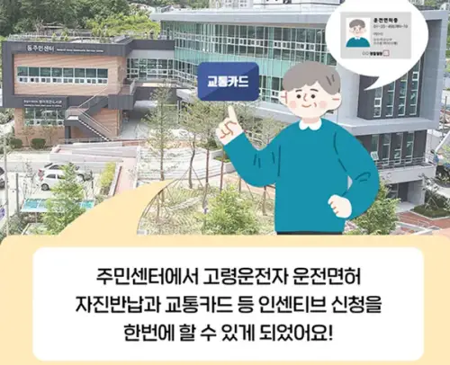 노인 운전면허증 반납