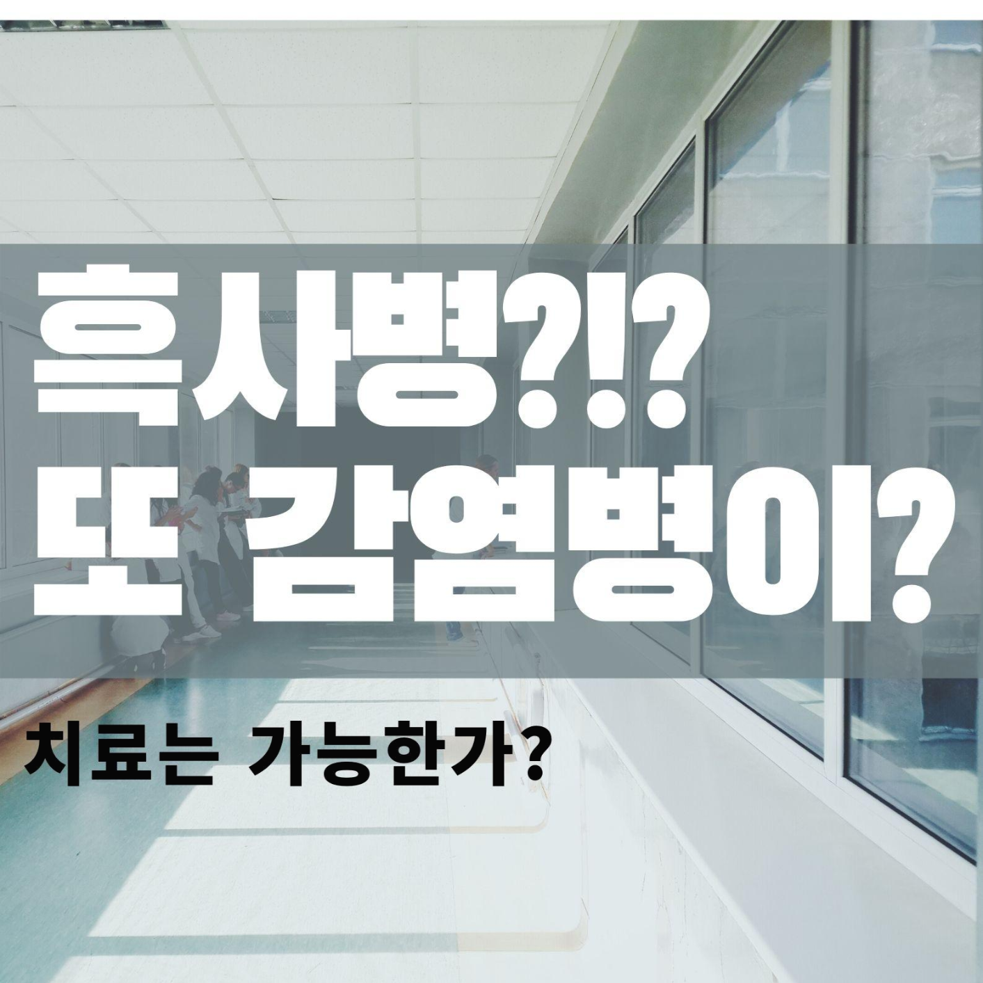  흑사병 또 유행하는가? 나을 수 있는가? 치료는?