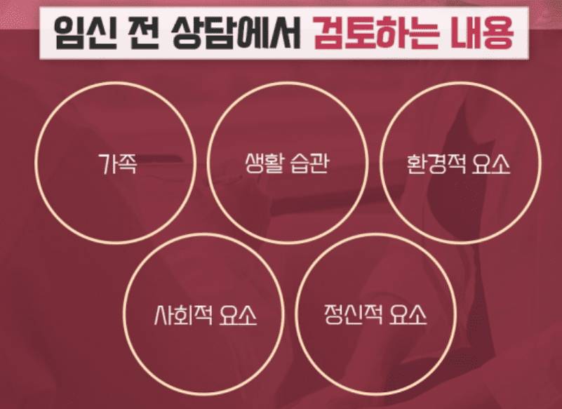 임신준비