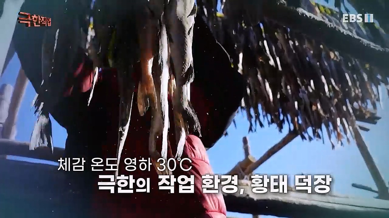 극한직업.E1049.230122p-BB.mp4_20230126_194132.462.jpg