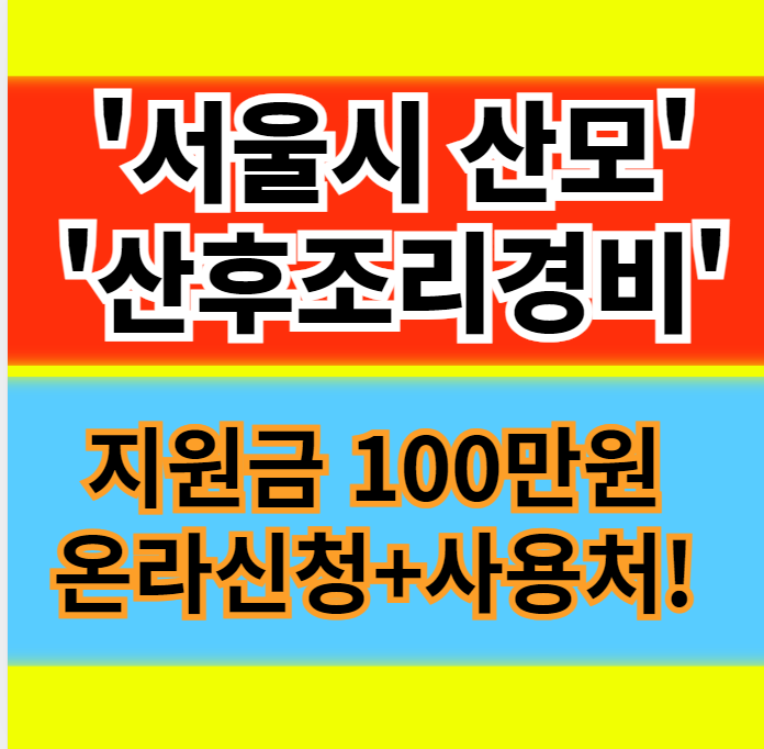  서울시 산모 산후조리경비 지원(100만원 바우처 신청기한 대상 신청방법 지원금)정보