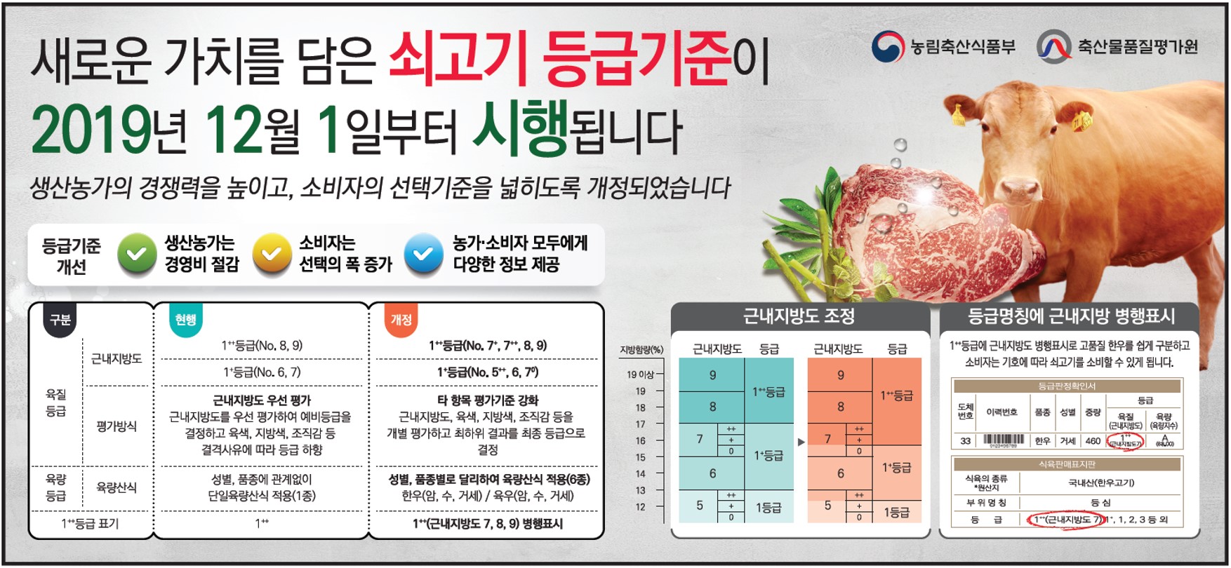 한우 소고기 등급 평가표