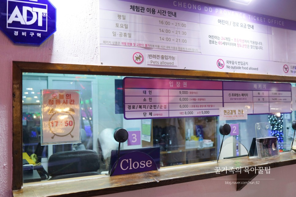 경북 축제 경북 아이와가볼만한곳 청도 5