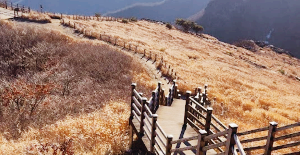 간월재 억새밭 - 울산 - 볼거리