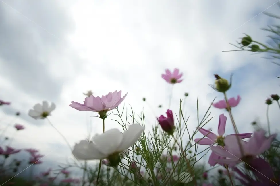 부산-삼락생태공원