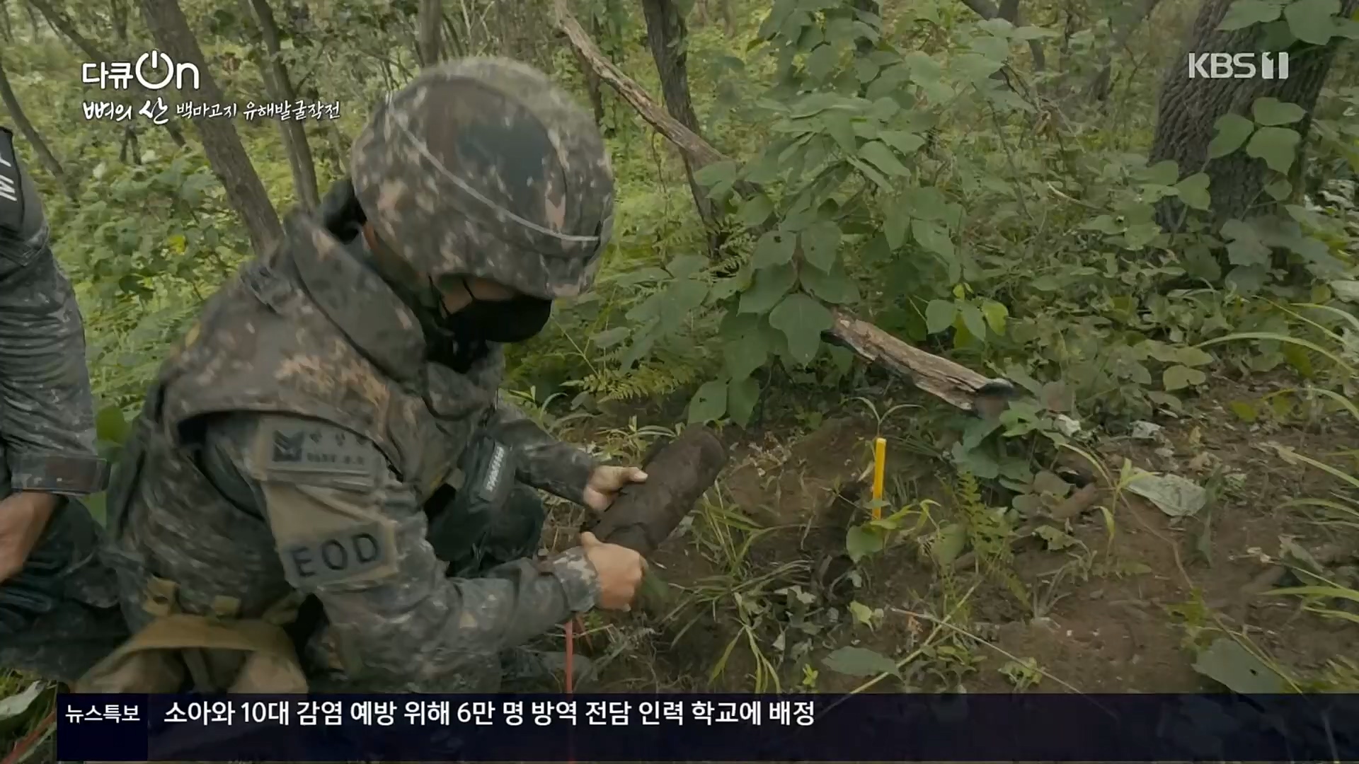 다큐 On.E163.221016p.H264-F1RST.mp4_20221018_185840.058.jpg