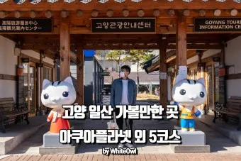 고양 가볼만한곳 베스트10 현지인 추천 필수코스_18