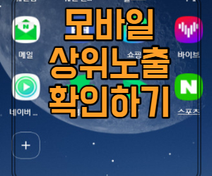  모바일 상위노출 확인하기 간단한 방법