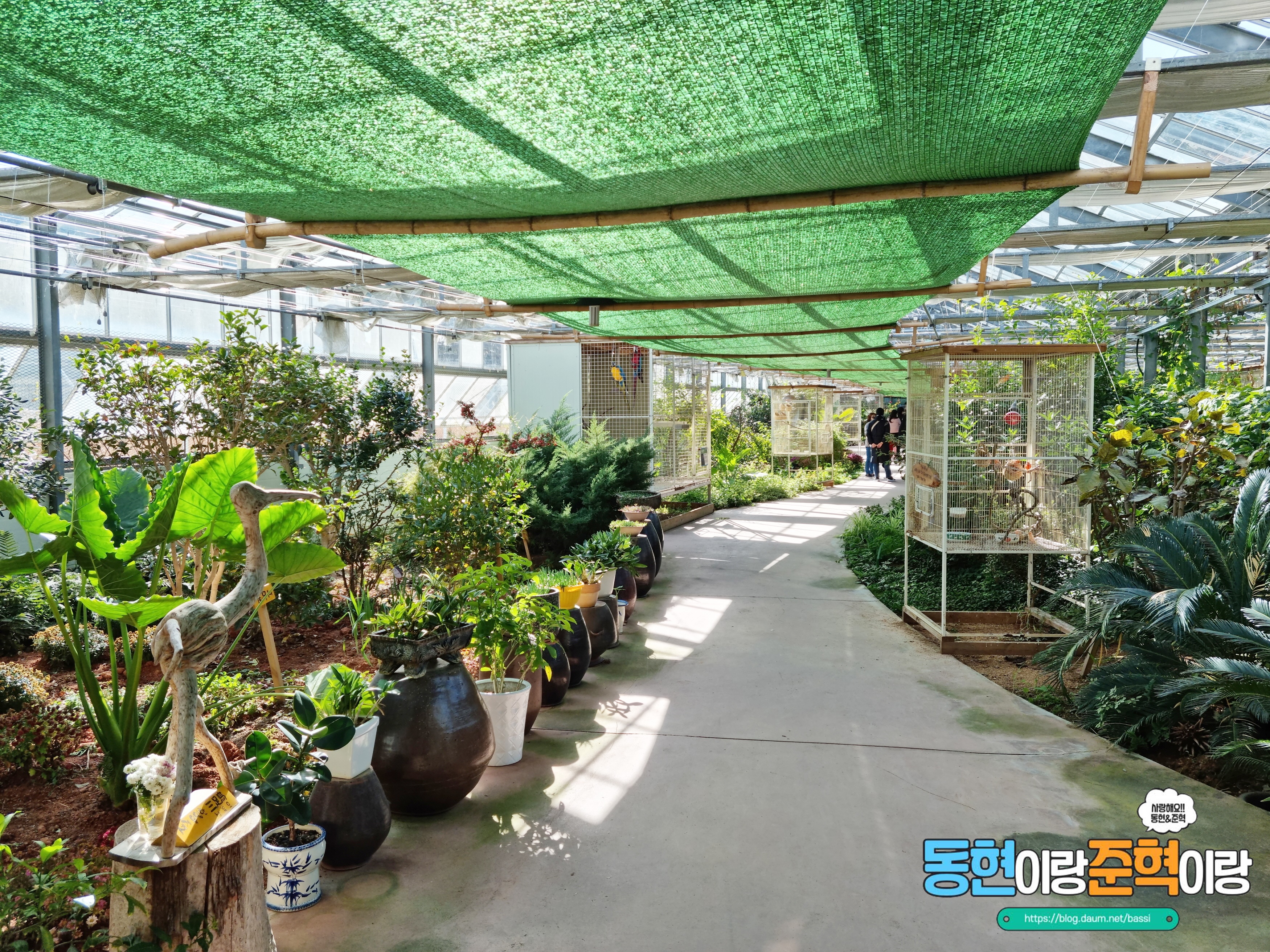 거제버드앤피쉬