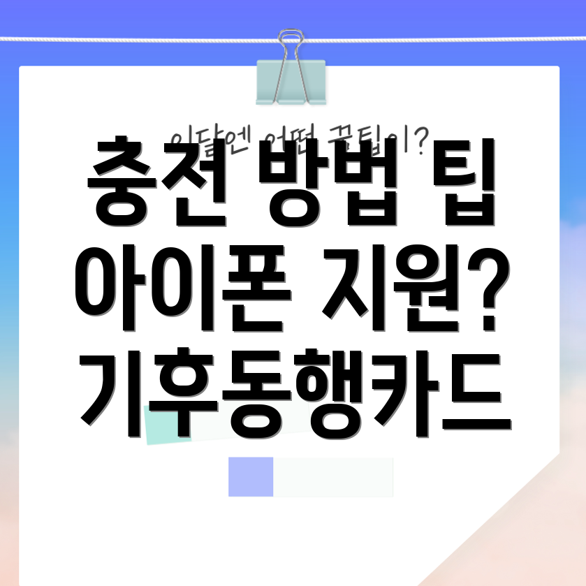 기후동행카드