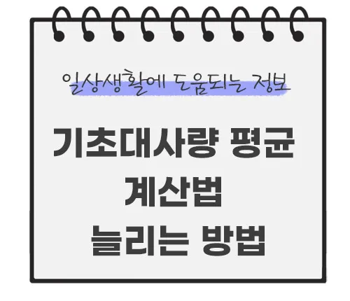 기초대사량-평균