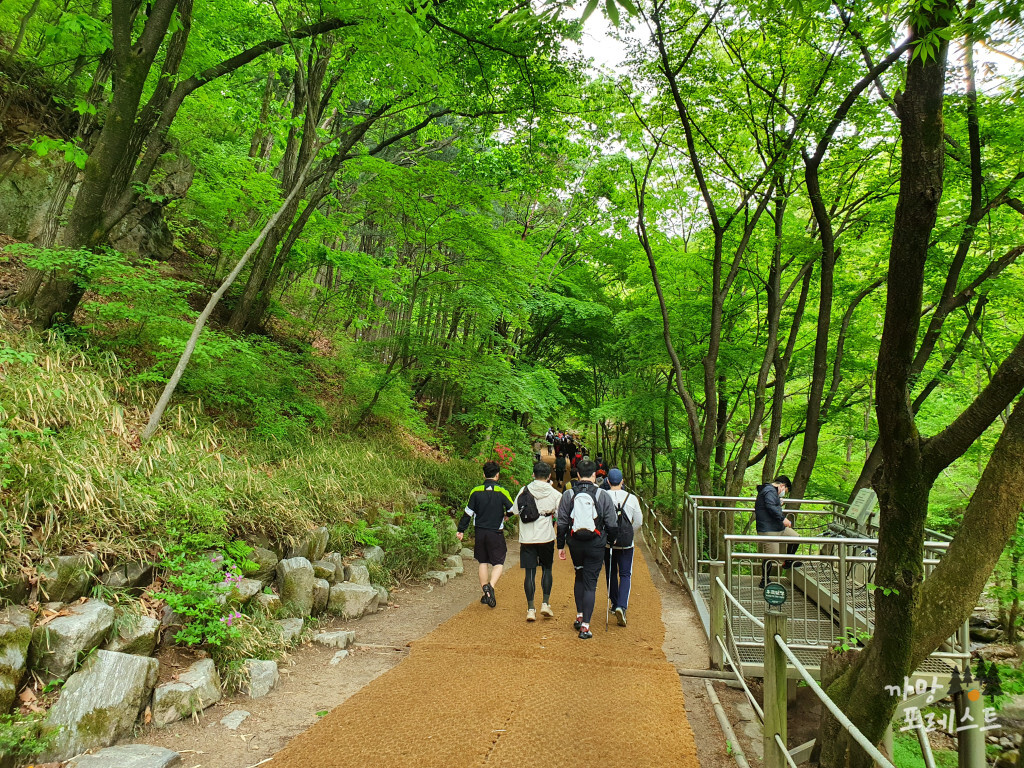 청계산 탐방로